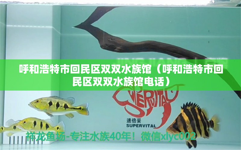 呼和浩特市回民區(qū)雙雙水族館（呼和浩特市回民區(qū)雙雙水族館電話）