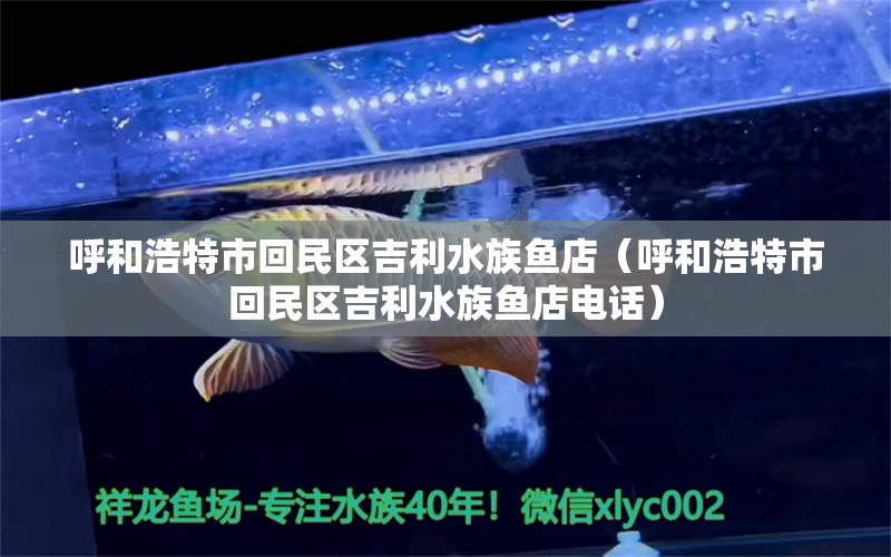 呼和浩特市回民區(qū)吉利水族魚店（呼和浩特市回民區(qū)吉利水族魚店電話） 全國水族館企業(yè)名錄