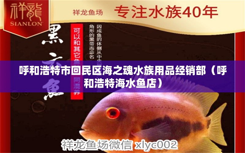 呼和浩特市回民區(qū)海之魂水族用品經(jīng)銷部（呼和浩特海水魚店）