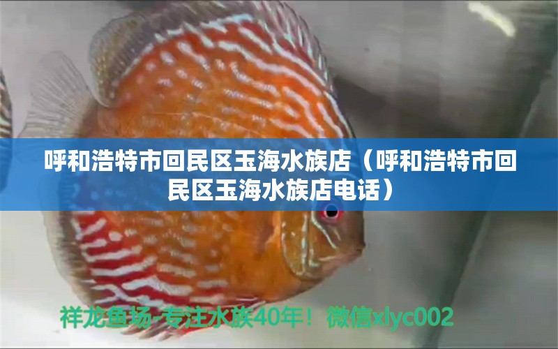 呼和浩特市回民區(qū)玉海水族店（呼和浩特市回民區(qū)玉海水族店電話）