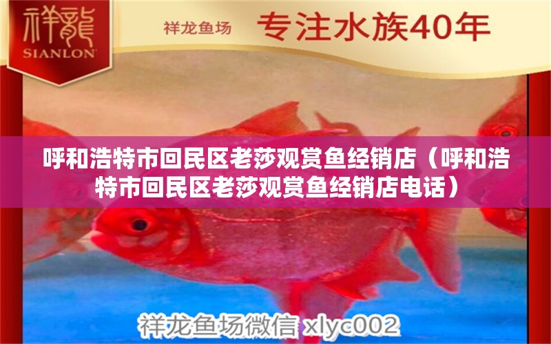 呼和浩特市回民區(qū)老莎觀賞魚經(jīng)銷店（呼和浩特市回民區(qū)老莎觀賞魚經(jīng)銷店電話） 全國水族館企業(yè)名錄