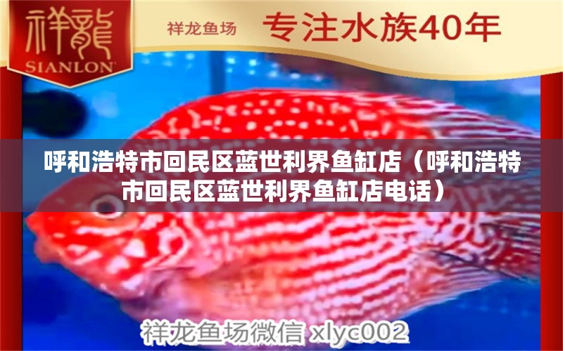 呼和浩特市回民區(qū)藍世利界魚缸店（呼和浩特市回民區(qū)藍世利界魚缸店電話） 全國水族館企業(yè)名錄