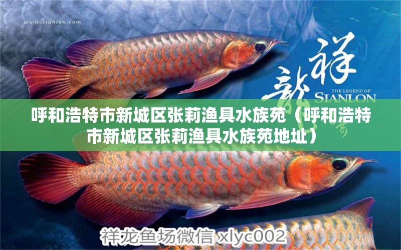 呼和浩特市新城區(qū)張莉漁具水族苑（呼和浩特市新城區(qū)張莉漁具水族苑地址）