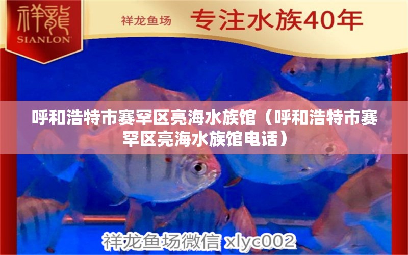 呼和浩特市賽罕區(qū)亮海水族館（呼和浩特市賽罕區(qū)亮海水族館電話） 全國水族館企業(yè)名錄