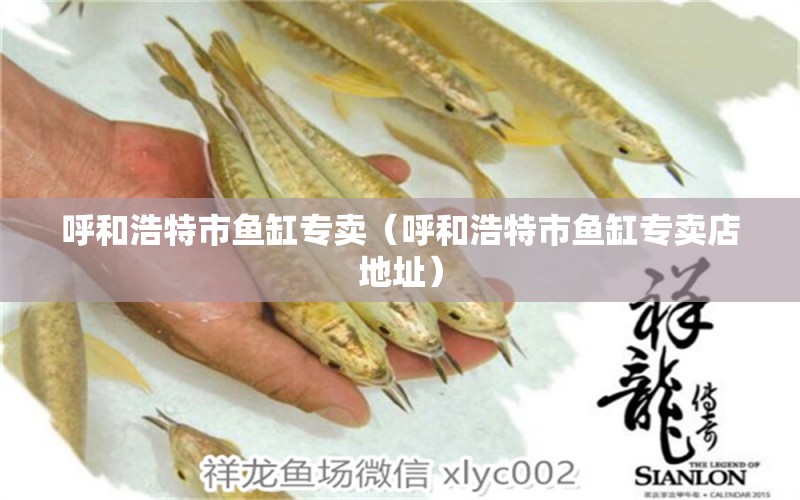 呼和浩特市魚缸專賣（呼和浩特市魚缸專賣店地址）