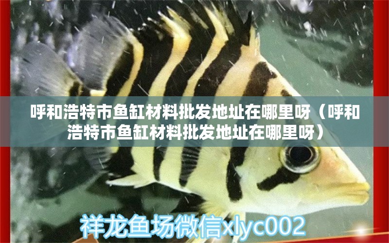 呼和浩特市魚缸材料批發(fā)地址在哪里呀（呼和浩特市魚缸材料批發(fā)地址在哪里呀）