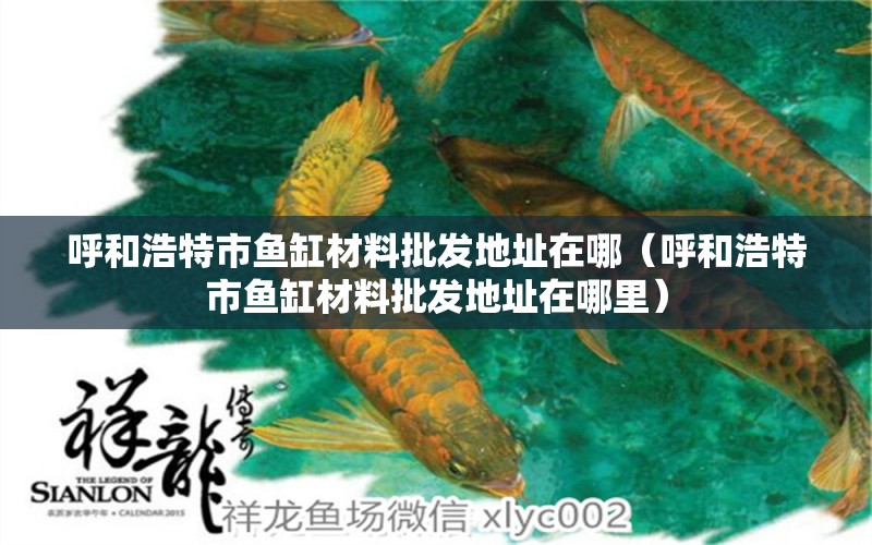 呼和浩特市魚缸材料批發(fā)地址在哪（呼和浩特市魚缸材料批發(fā)地址在哪里）