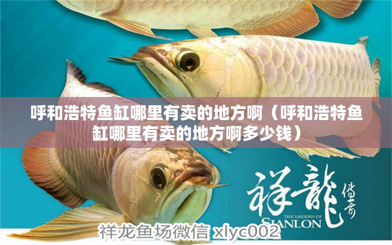 呼和浩特魚缸哪里有賣的地方?。ê艉秃铺佤~缸哪里有賣的地方啊多少錢）