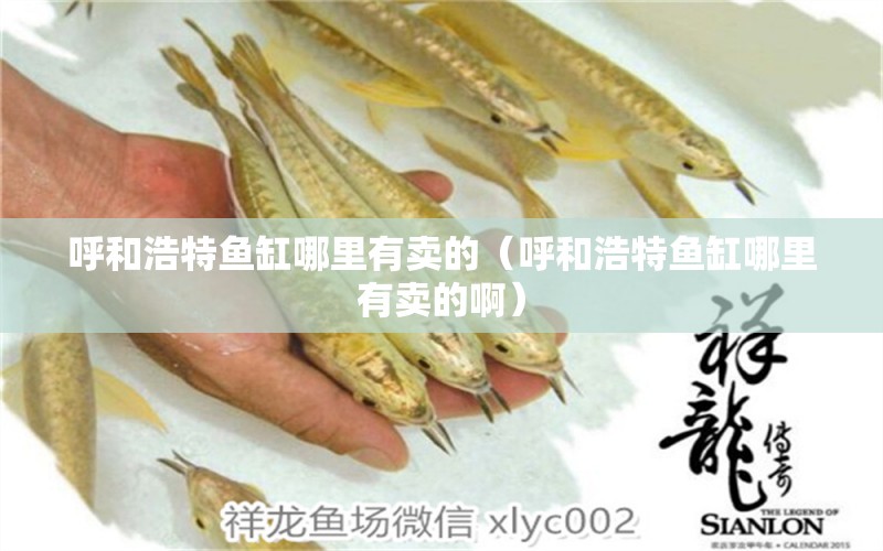 呼和浩特魚(yú)缸哪里有賣的（呼和浩特魚(yú)缸哪里有賣的?。? title=