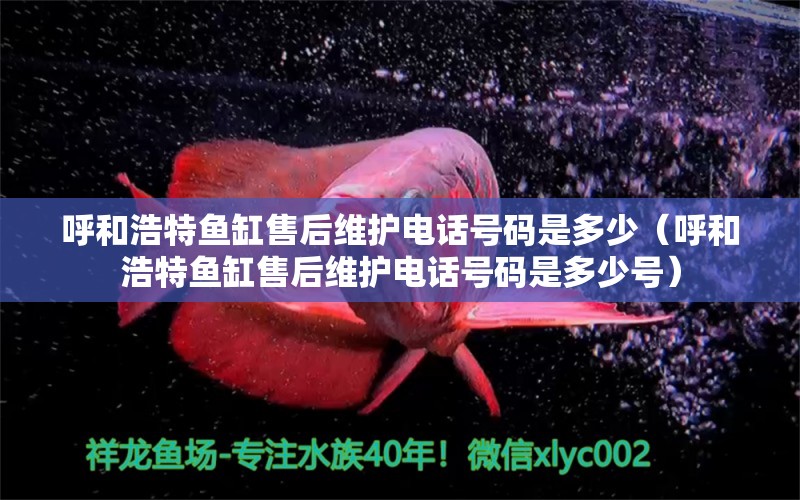 呼和浩特魚缸售后維護電話號碼是多少（呼和浩特魚缸售后維護電話號碼是多少號） 其他品牌魚缸