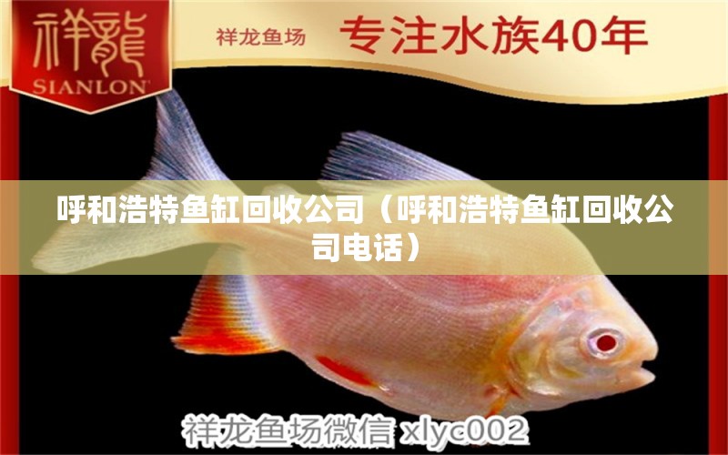 呼和浩特魚(yú)缸回收公司（呼和浩特魚(yú)缸回收公司電話）