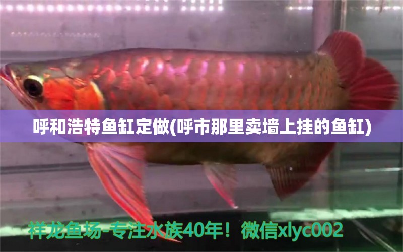 呼和浩特魚缸定做(呼市那里賣墻上掛的魚缸)