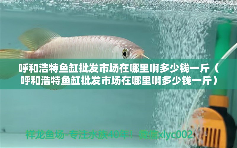 呼和浩特魚缸批發(fā)市場在哪里啊多少錢一斤（呼和浩特魚缸批發(fā)市場在哪里啊多少錢一斤）