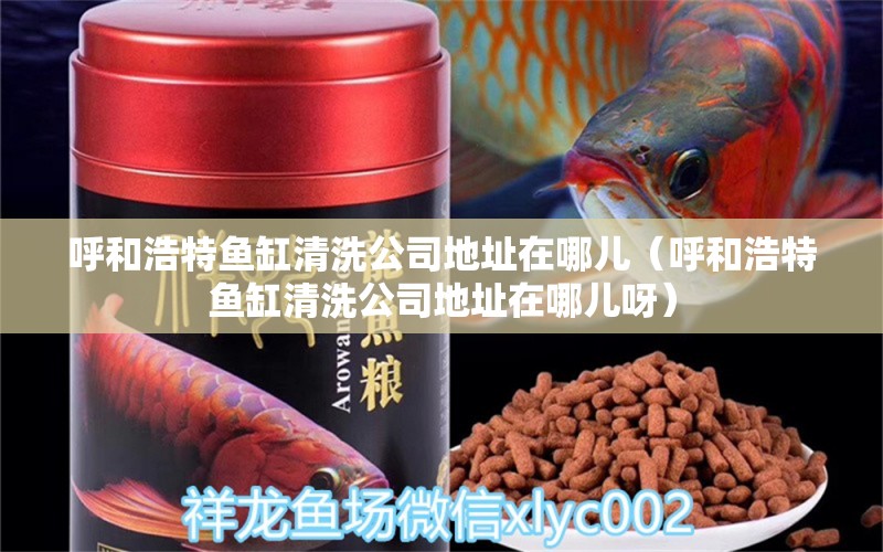 呼和浩特魚(yú)缸清洗公司地址在哪兒（呼和浩特魚(yú)缸清洗公司地址在哪兒呀） 檸檬鯽