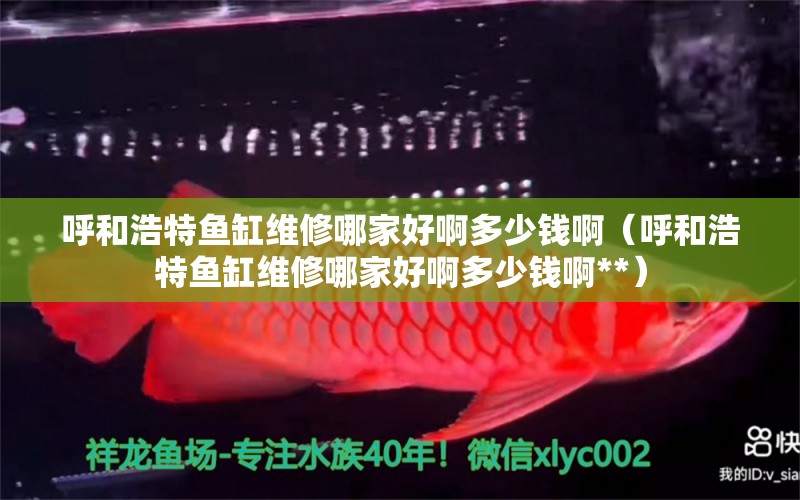 呼和浩特魚缸維修哪家好啊多少錢?。ê艉秃铺佤~缸維修哪家好啊多少錢啊**）