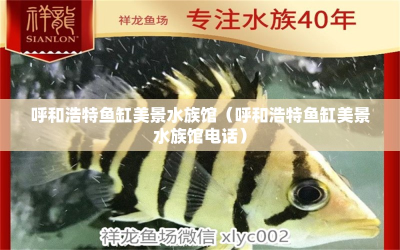 呼和浩特魚缸美景水族館（呼和浩特魚缸美景水族館電話） 其他品牌魚缸 第2張