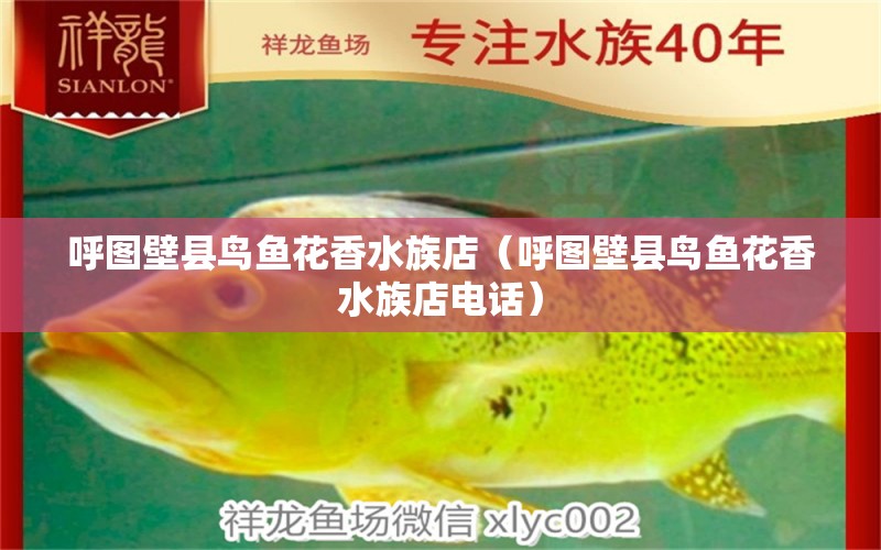 呼圖壁縣鳥魚花香水族店（呼圖壁縣鳥魚花香水族店電話） 全國水族館企業(yè)名錄