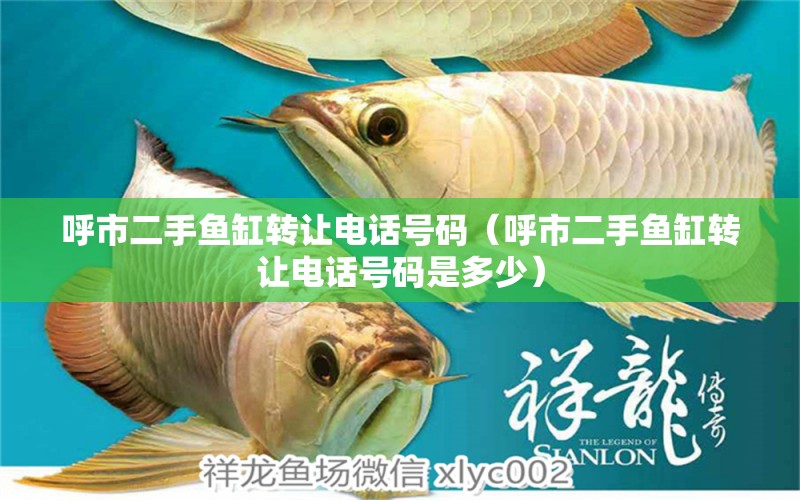 呼市二手魚缸轉(zhuǎn)讓電話號碼（呼市二手魚缸轉(zhuǎn)讓電話號碼是多少）