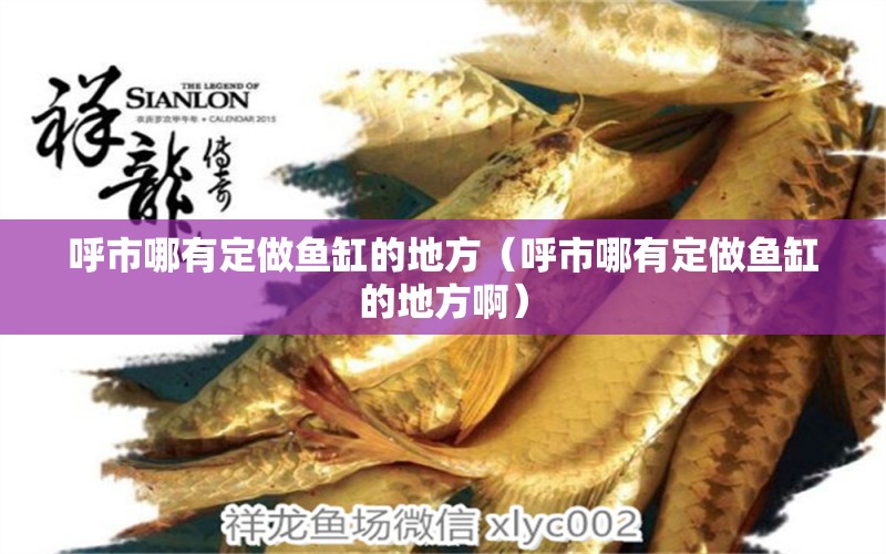 呼市哪有定做魚缸的地方（呼市哪有定做魚缸的地方?。? title=