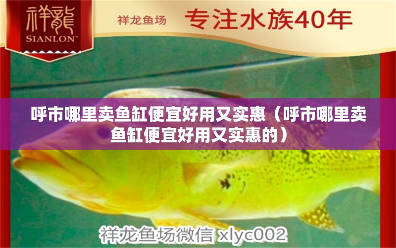 呼市哪里賣(mài)魚(yú)缸便宜好用又實(shí)惠（呼市哪里賣(mài)魚(yú)缸便宜好用又實(shí)惠的）