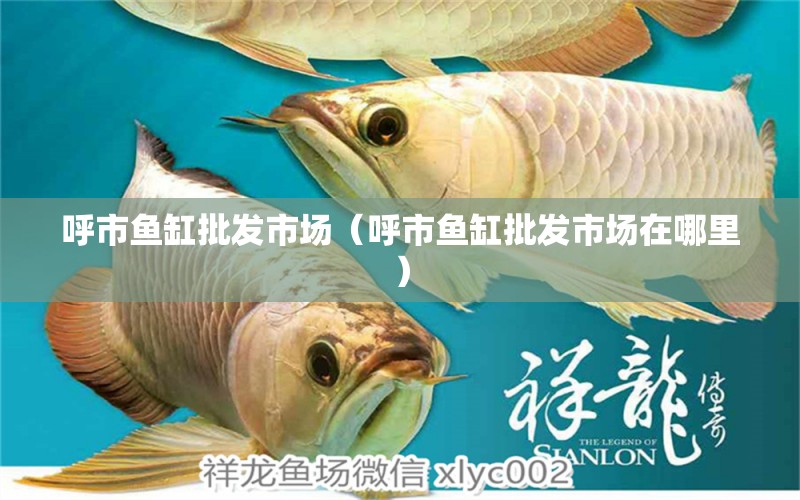 呼市魚(yú)缸批發(fā)市場(chǎng)（呼市魚(yú)缸批發(fā)市場(chǎng)在哪里）