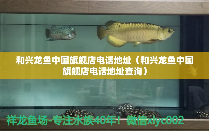 和興龍魚中國旗艦店電話地址（和興龍魚中國旗艦店電話地址查詢）