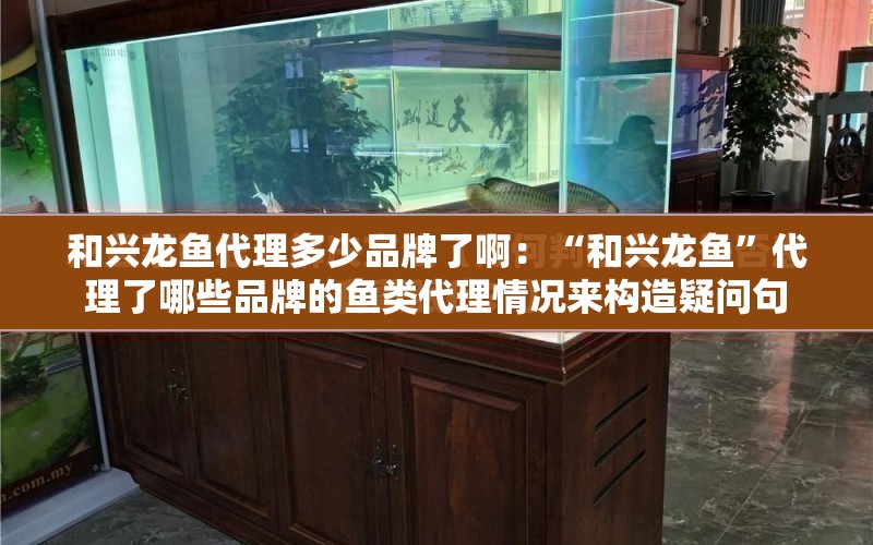 和興龍魚代理多少品牌了?。骸昂团d龍魚”代理了哪些品牌的魚類代理情況來構造疑問句 水族問答