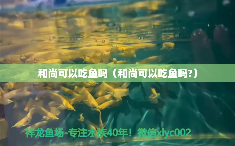 和尚可以吃魚嗎（和尚可以吃魚嗎?）