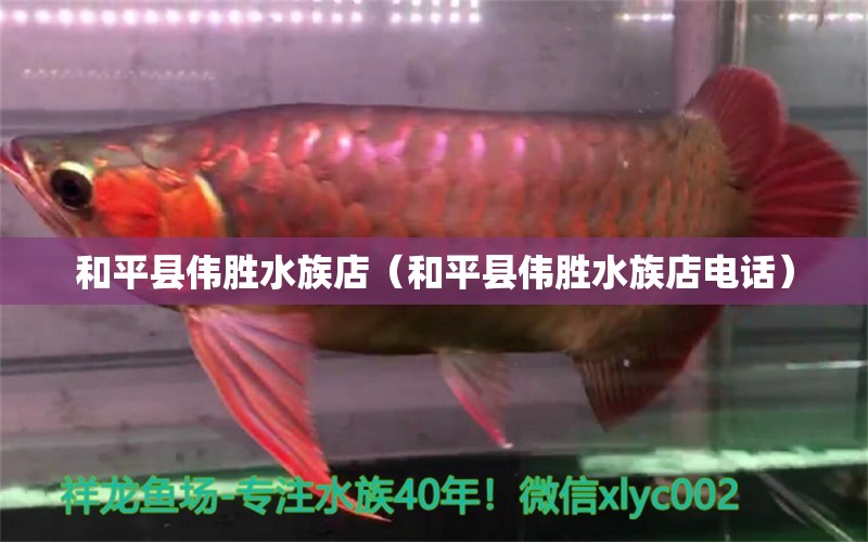 和平縣偉勝水族店（和平縣偉勝水族店電話(huà)）