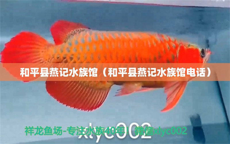 和平縣燕記水族館（和平縣燕記水族館電話）