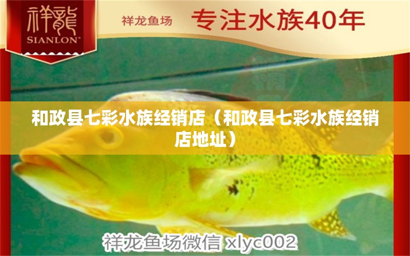 和政縣七彩水族經(jīng)銷店（和政縣七彩水族經(jīng)銷店地址） 全國水族館企業(yè)名錄