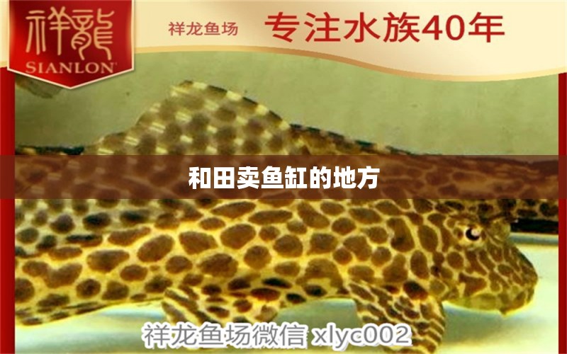 和田賣(mài)魚(yú)缸的地方 其他品牌魚(yú)缸