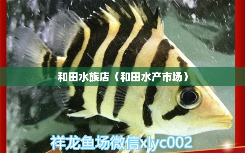 和田水族店（和田水產(chǎn)市場）