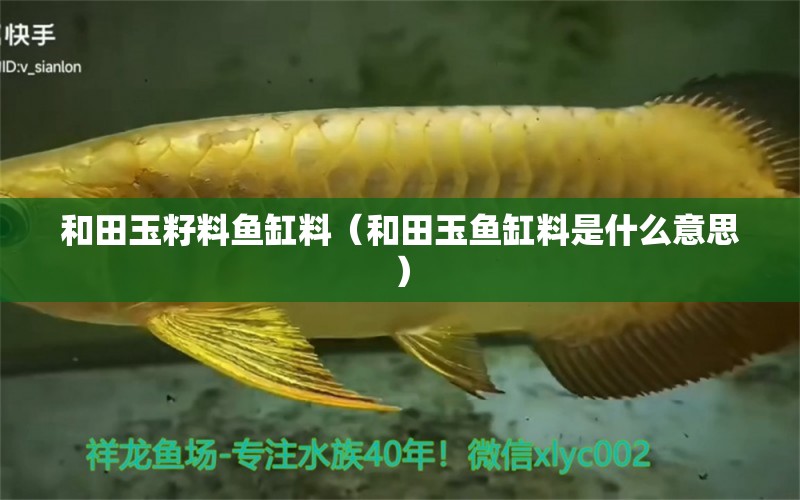 和田玉籽料魚缸料（和田玉魚缸料是什么意思）