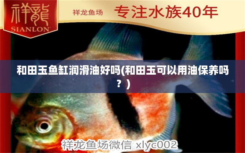 和田玉魚缸潤(rùn)滑油好嗎(和田玉可以用油保養(yǎng)嗎？) 三色錦鯉魚