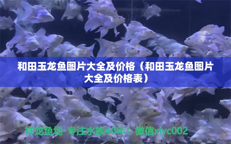 和田玉龍魚圖片大全及價格（和田玉龍魚圖片大全及價格表）