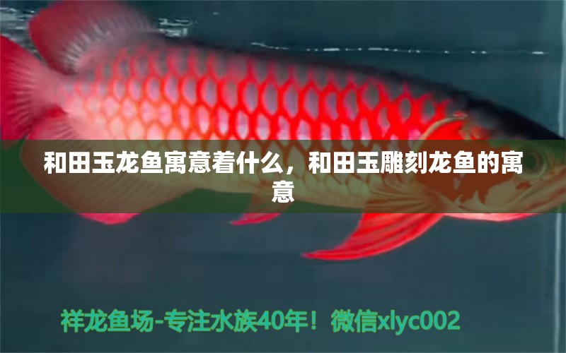 和田玉龍魚寓意著什么，和田玉雕刻龍魚的寓意 養(yǎng)魚知識 第1張