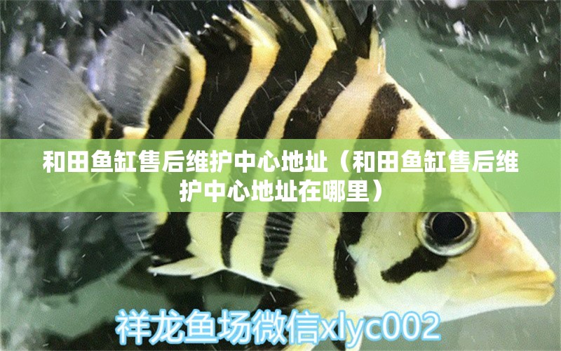 和田魚缸售后維護(hù)中心地址（和田魚缸售后維護(hù)中心地址在哪里）