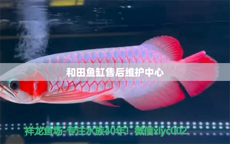 和田魚缸售后維護(hù)中心