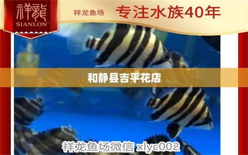 和靜縣吉平花店 全國水族館企業(yè)名錄