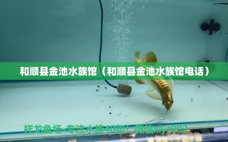 和順縣金池水族館（和順縣金池水族館電話） 全國(guó)水族館企業(yè)名錄