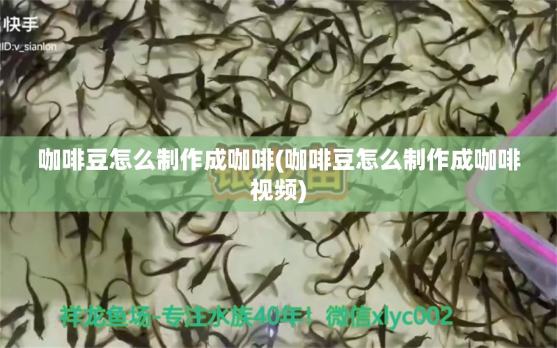 咖啡豆怎么制作成咖啡(咖啡豆怎么制作成咖啡視頻) 馬來(lái)西亞咖啡 第1張