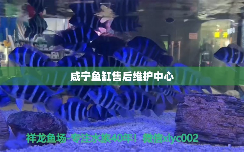 咸寧魚缸售后維護中心