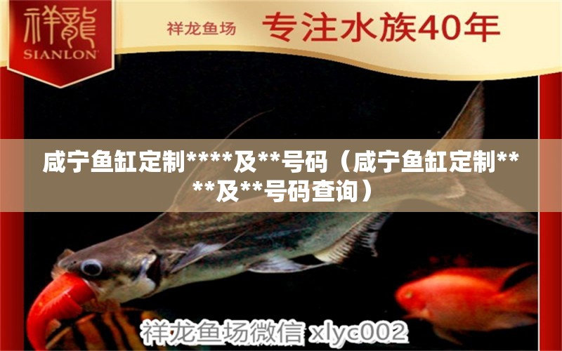 咸寧魚缸定制****及**號碼（咸寧魚缸定制****及**號碼查詢）