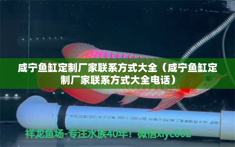 咸寧魚缸定制廠家聯(lián)系方式大全（咸寧魚缸定制廠家聯(lián)系方式大全電話） 祥龍龍魚魚糧