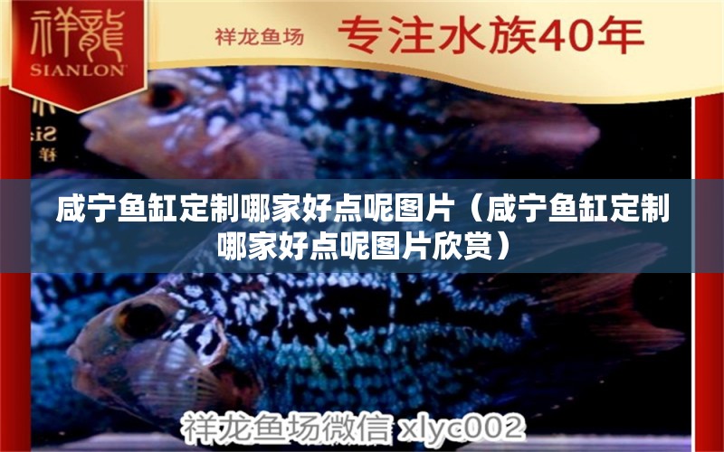 咸寧魚(yú)缸定制哪家好點(diǎn)呢圖片（咸寧魚(yú)缸定制哪家好點(diǎn)呢圖片欣賞） 麥肯斯銀版魚(yú)