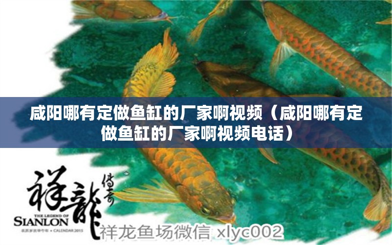 咸陽哪有定做魚缸的廠家啊視頻（咸陽哪有定做魚缸的廠家啊視頻電話）