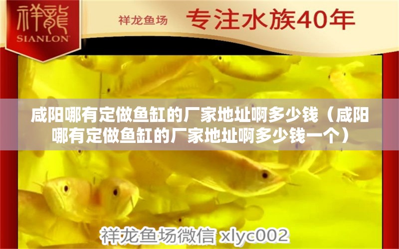 咸陽哪有定做魚缸的廠家地址啊多少錢（咸陽哪有定做魚缸的廠家地址啊多少錢一個）