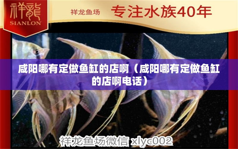 咸陽哪有定做魚缸的店啊（咸陽哪有定做魚缸的店啊電話） 過背金龍魚