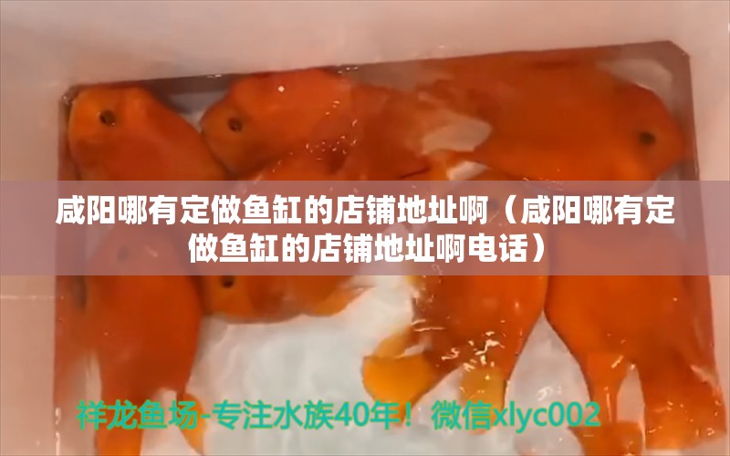 咸陽哪有定做魚缸的店鋪地址?。ㄏ剃柲挠卸ㄗ鲷~缸的店鋪地址啊電話） 祥龍水族醫(yī)院